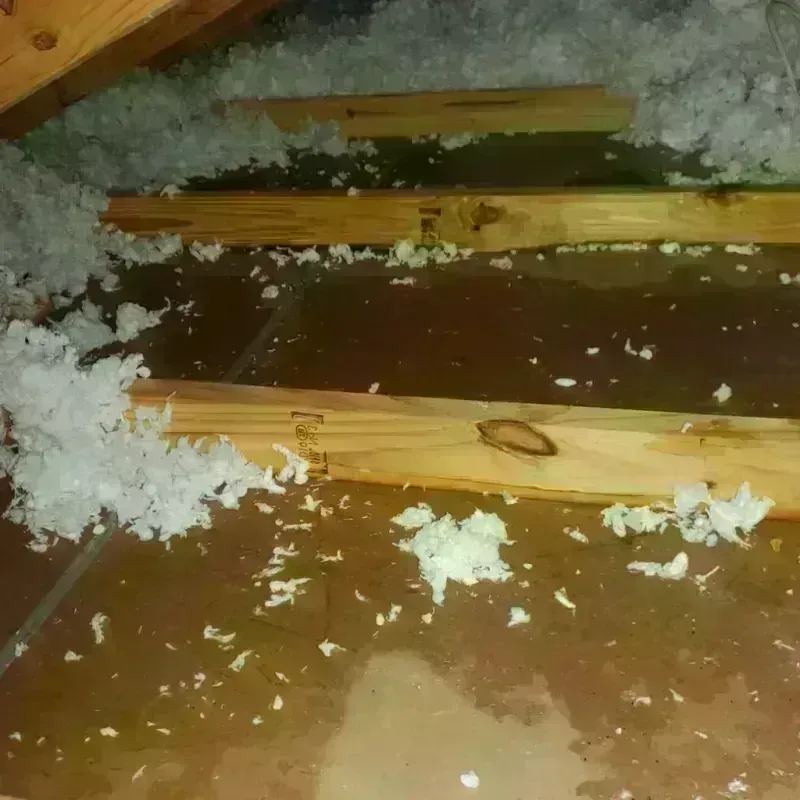 Attic Water Damage in Applewood, CO