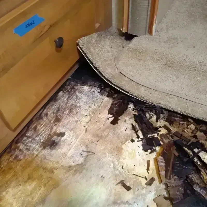 Wood Floor Water Damage in Applewood, CO